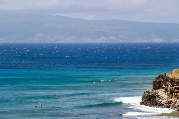 Casino Two Fat Ladies Bingo Supporto